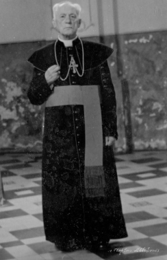 DVASIOS MILŽINAS